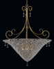 5907-BG-CL Signature Crystal Hanging Light