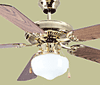 Contractor Fans