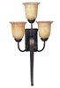 20619VAOI Aspen Wall Sconce