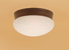 541BZ Bronze Flush Ceiling Light